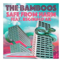The Bamboos - Safe From Harm